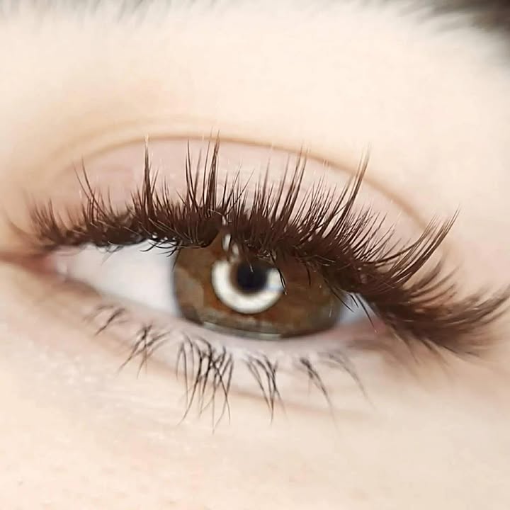 image-853054161081487